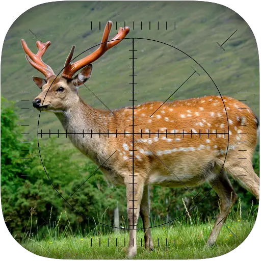 Deer Sniper: Hunting Game