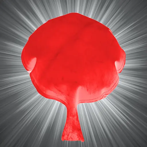 Fart Cushion - Whoopee Fun!