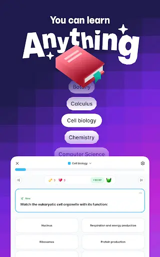 Gizmo: AI Flashcards and Tutor screenshot 6