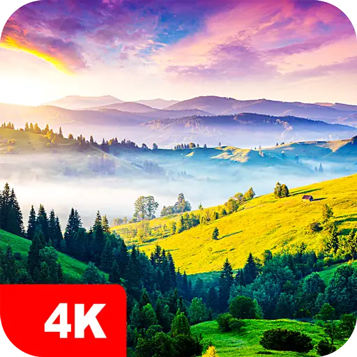 Nature Wallpapers 4K