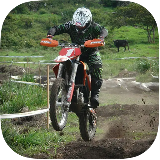 Offroad Bike Racing 3D