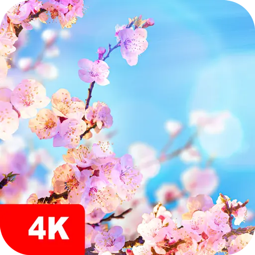 Spring Wallpapers 4K